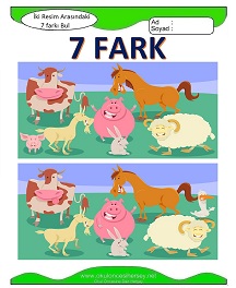 İki Resim Arasındaki Farkı Bul Etkinliği